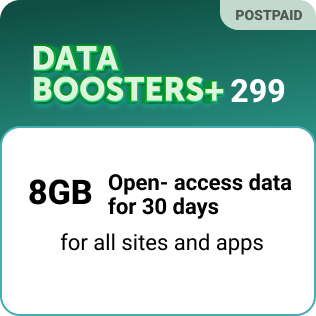 DATA BOOSTER+ 299